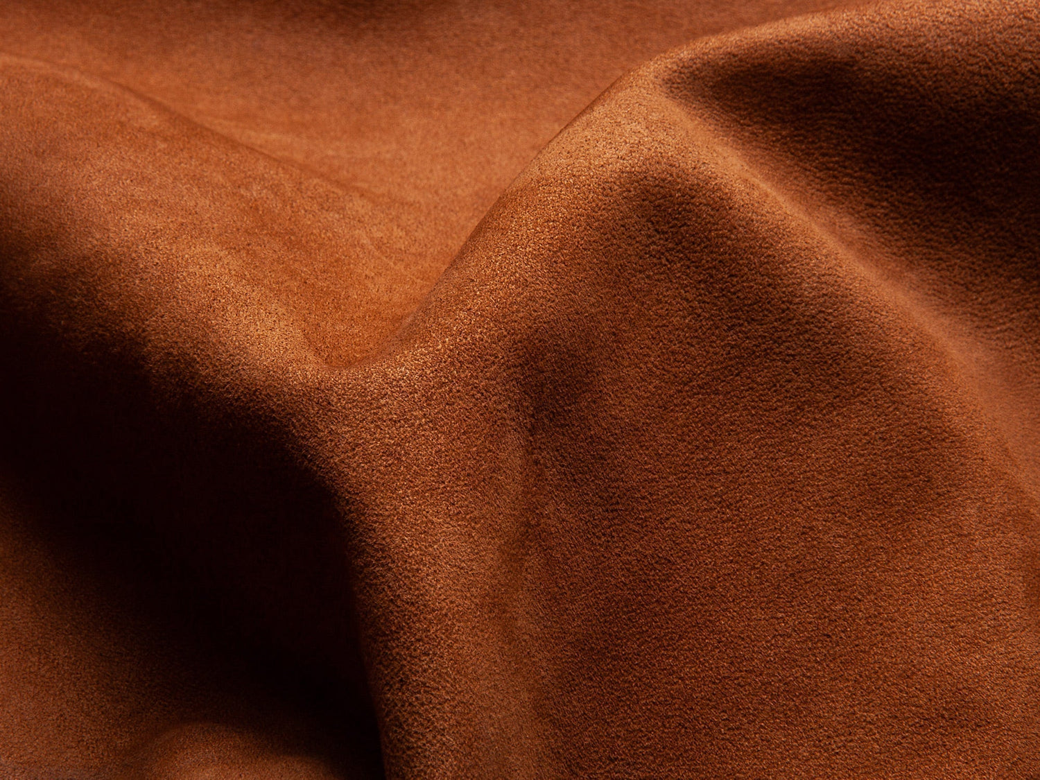 THE BILLY REID GUIDE | Suede