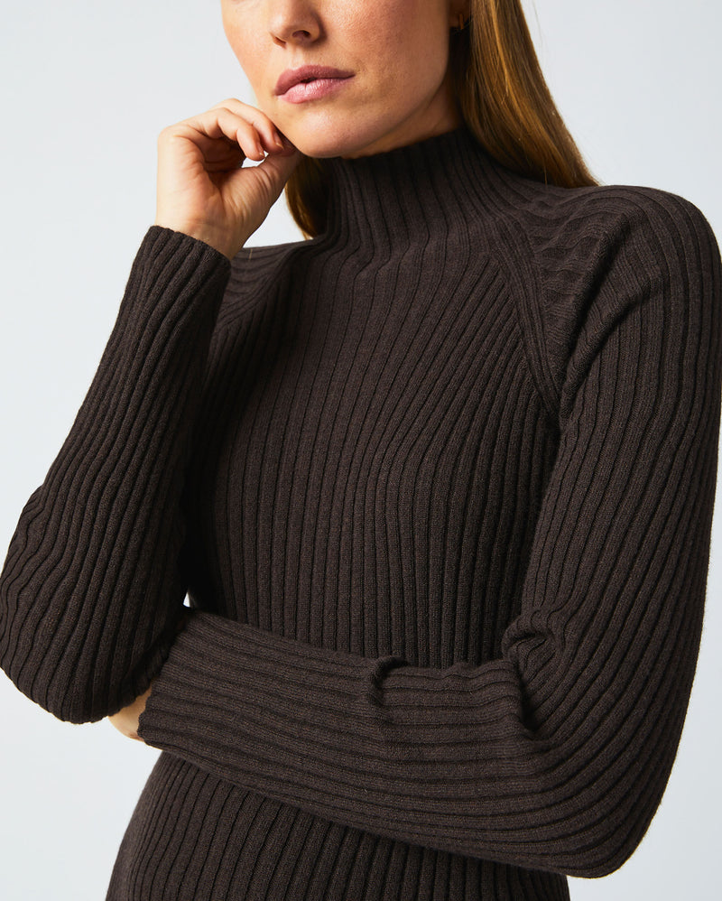 Turtleneck Sweater Dress