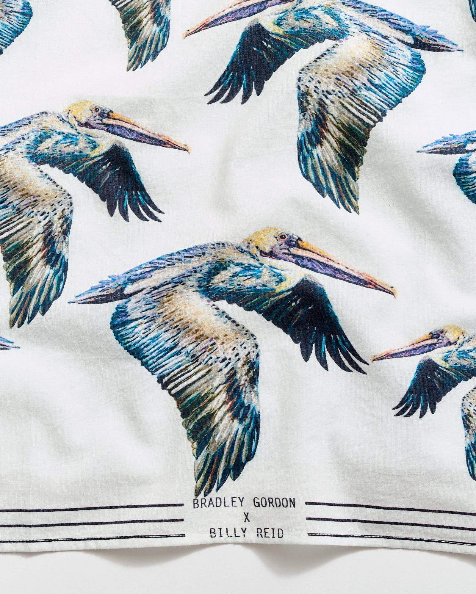 A white fabric features a repeating pattern of colorful flying pelicans. At the bottom, two thin black lines run horizontally with the text Bradley Gordon x Billy Reid printed between them.