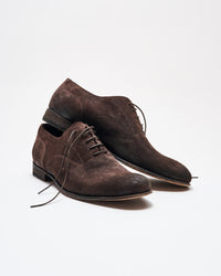 The coleman oxford in dark brown.